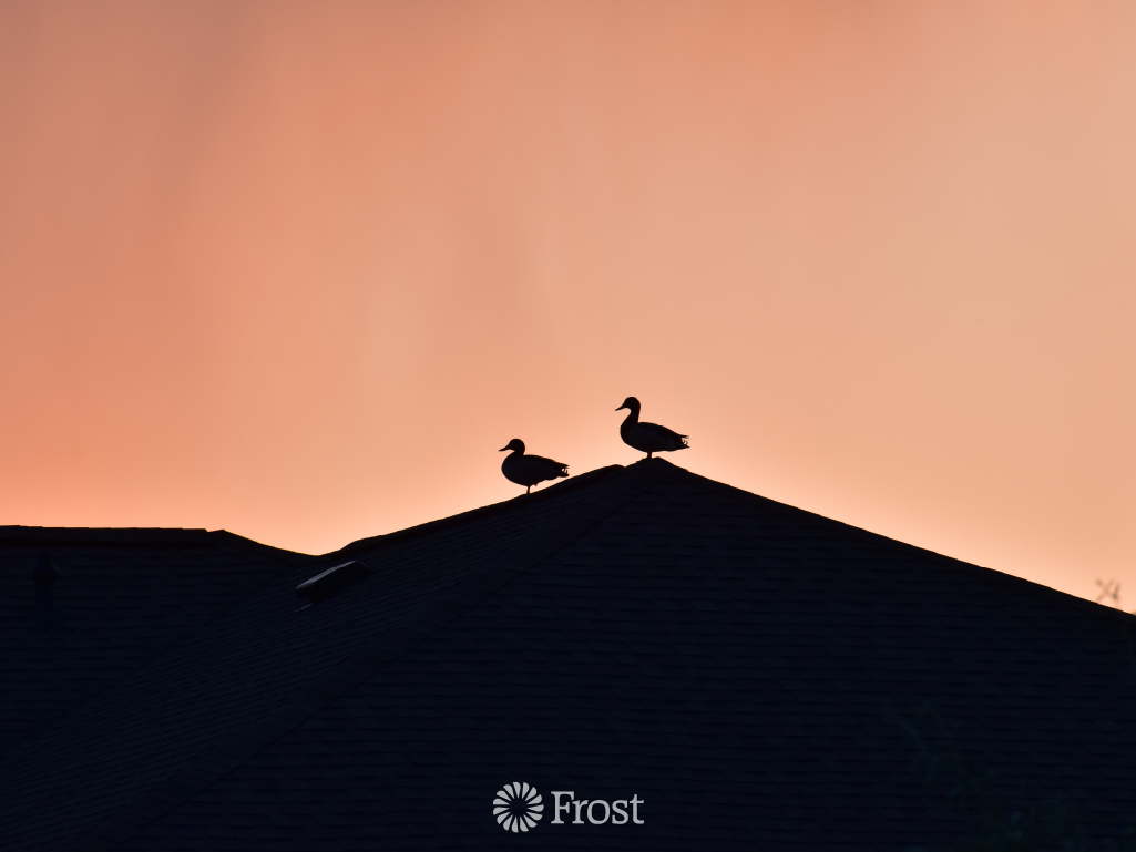 06012024-Web-1024x768